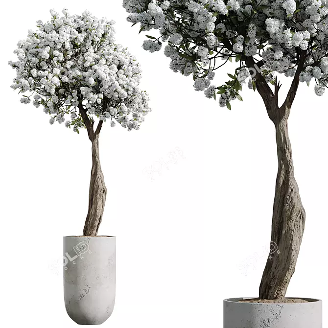 Chic Cherry Blossom Tree Planter 3D model image 3