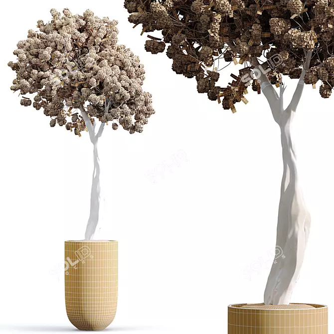 Chic Cherry Blossom Tree Planter 3D model image 4