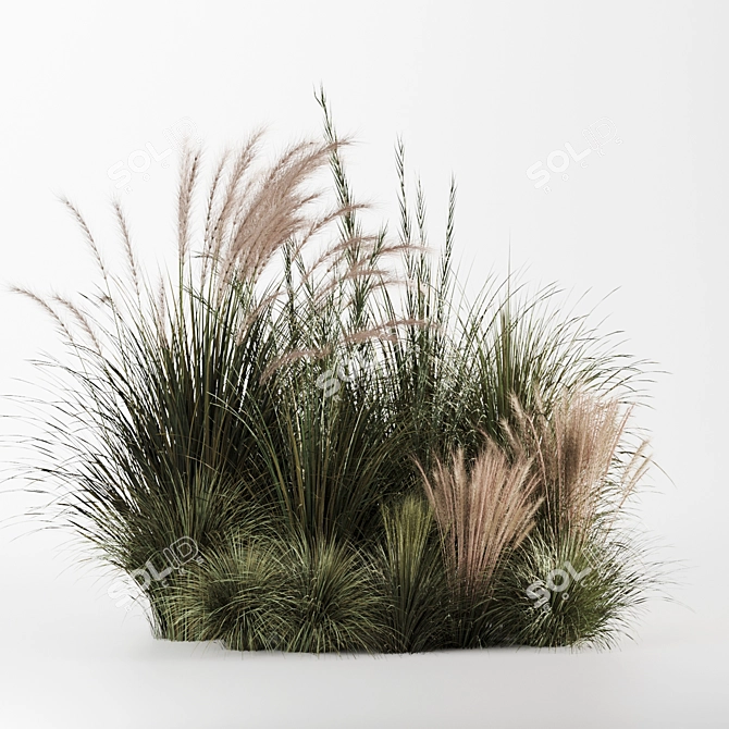 Bush-Bush Indoor Plant Set 3D model image 2