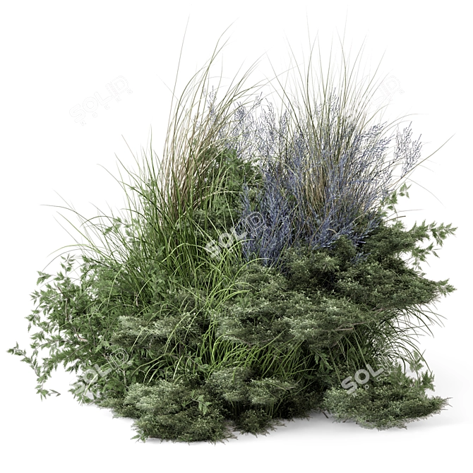 Outdoor Plants Bush Set 2430 3D model image 2