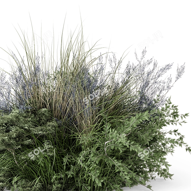 Outdoor Plants Bush Set 2430 3D model image 4