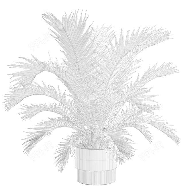 Exotic Sago Palm Ornamental Plant 3D model image 3