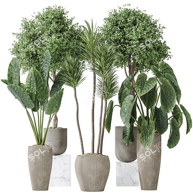 120 Plant Set Collection 3D 3D model image 1