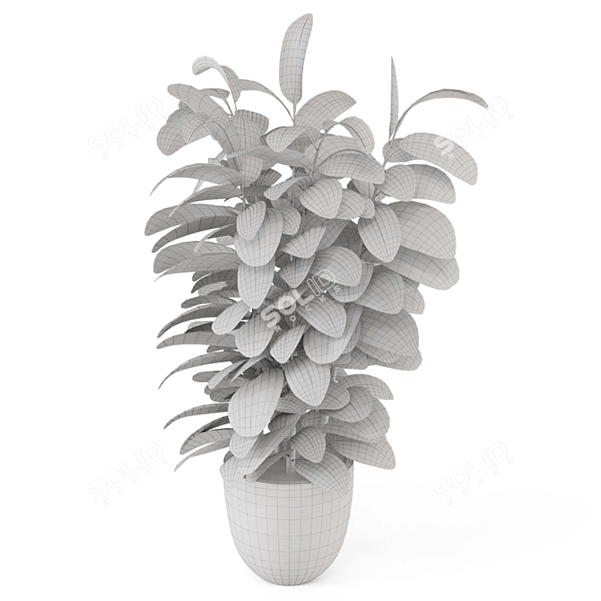 Rustic Indoor Plants Set 2433 3D model image 4