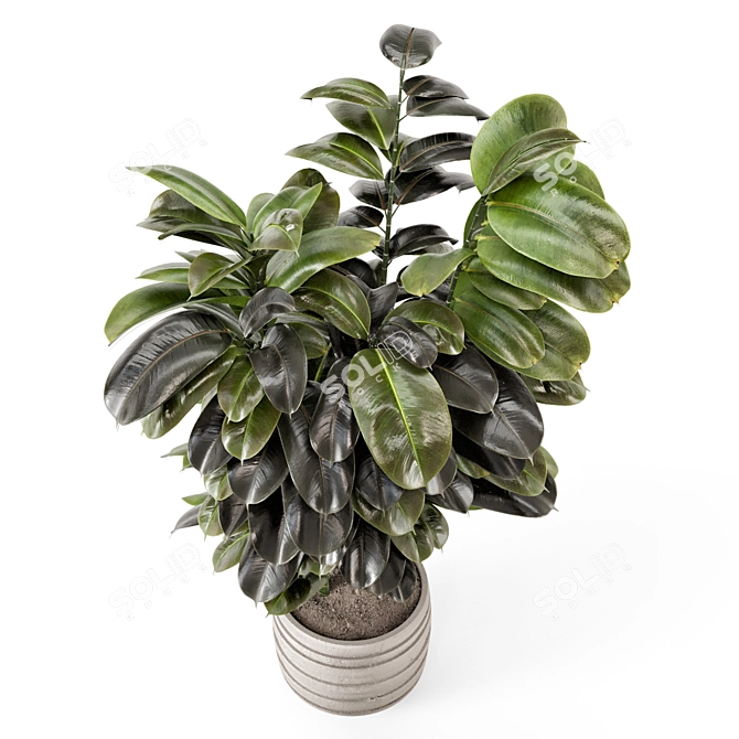 Modern Concrete Indoor Plants Set 3D model image 1