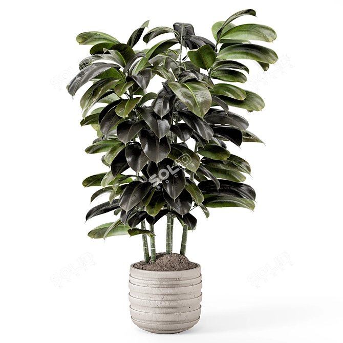 Modern Concrete Indoor Plants Set 3D model image 2