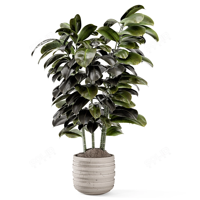 Modern Concrete Indoor Plants Set 3D model image 3