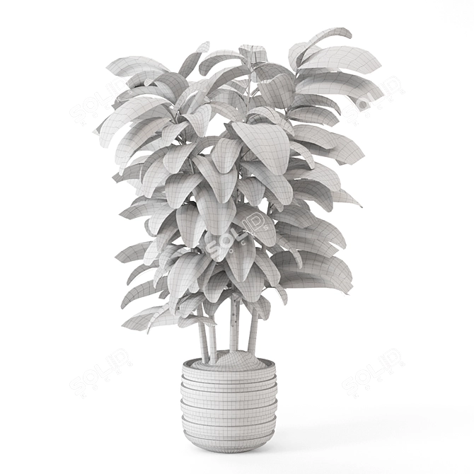 Modern Concrete Indoor Plants Set 3D model image 4