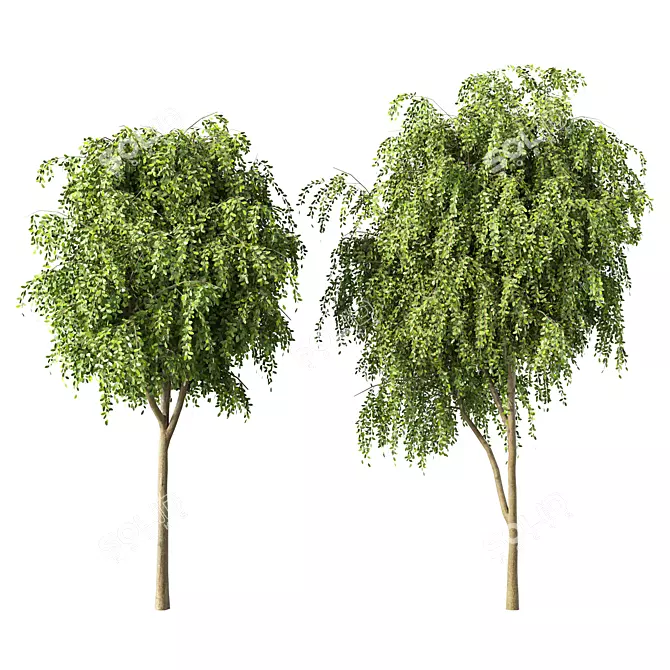 Forest Series Tree Sculpture Display 3D model image 1