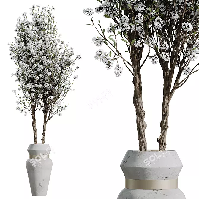 Cherry Blossom Tree in Tropez stopwords Planter 3D model image 1