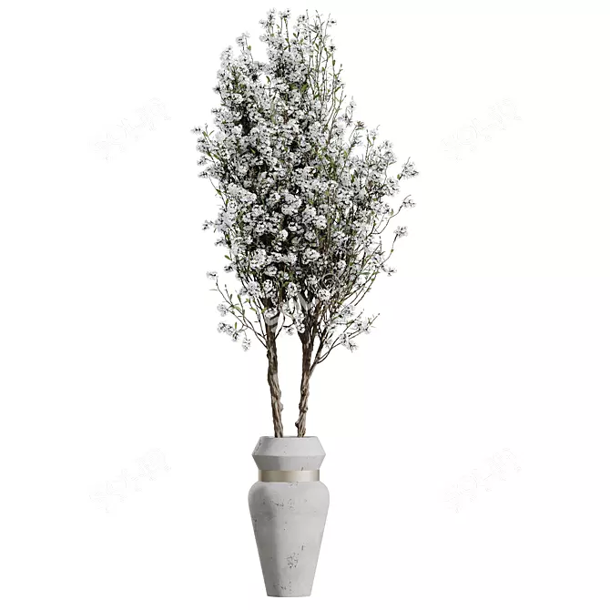 Cherry Blossom Tree in Tropez stopwords Planter 3D model image 2