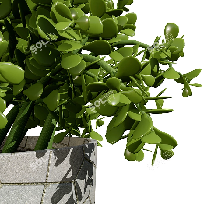 Realistic Indoor Plant 3D Bundle 3D model image 3