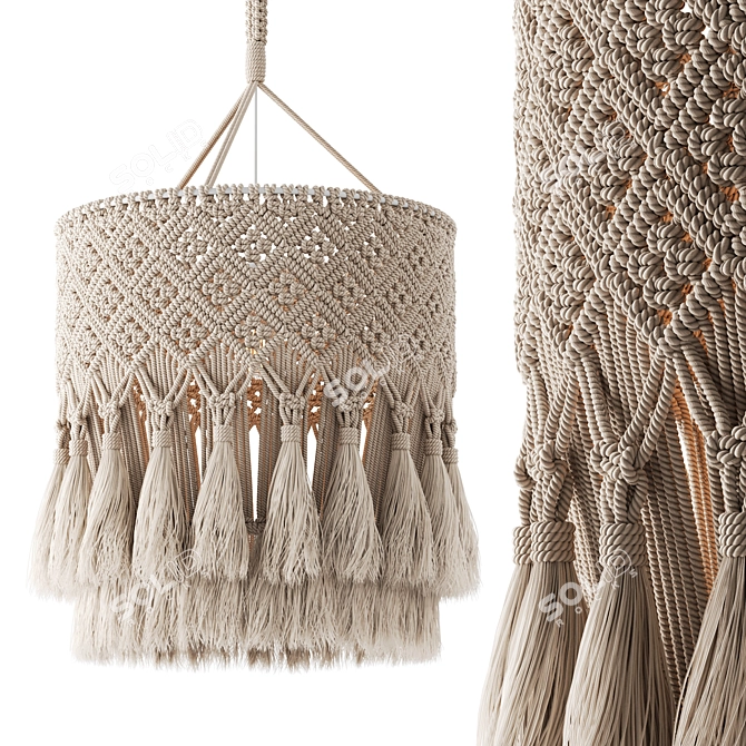 Boho Macrame Pendant Light 3D model image 1