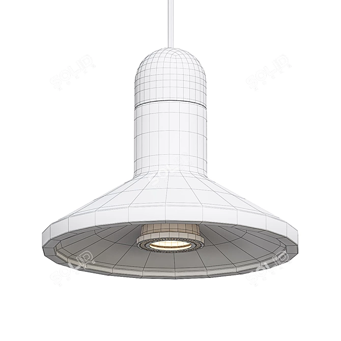 ImperiumLoft RARITY Black Pendant Light 3D model image 2