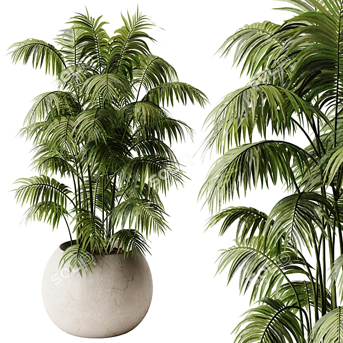 Lush Areca Palm Indoor Plant 3D model image 1