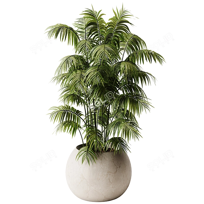 Lush Areca Palm Indoor Plant 3D model image 2