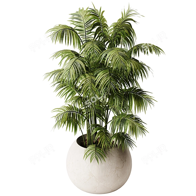 Lush Areca Palm Indoor Plant 3D model image 3