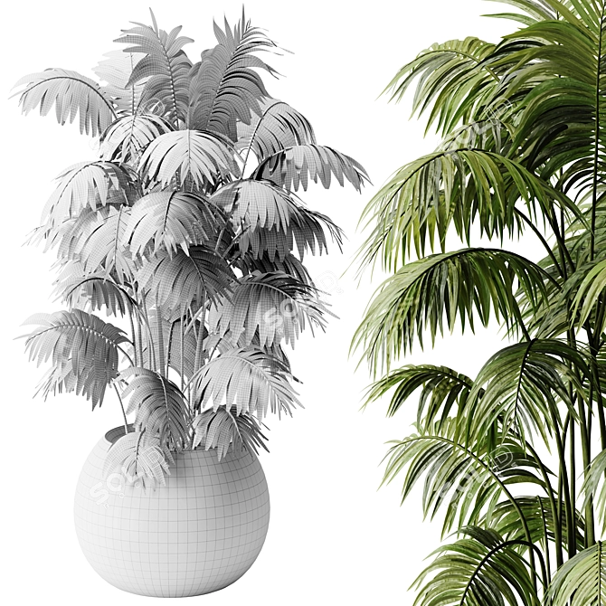 Lush Areca Palm Indoor Plant 3D model image 5