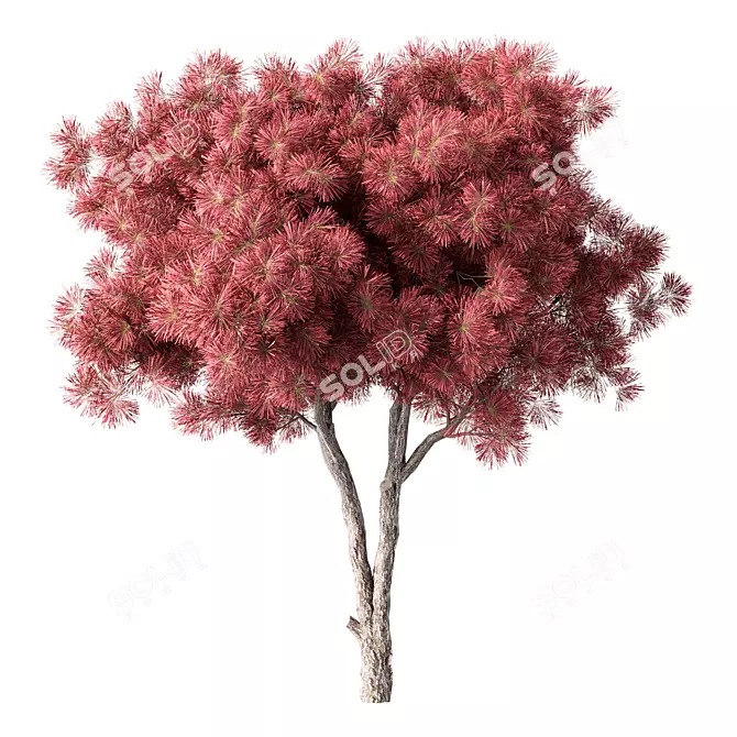 Sculpted Pine Tree No.132 3D model image 1