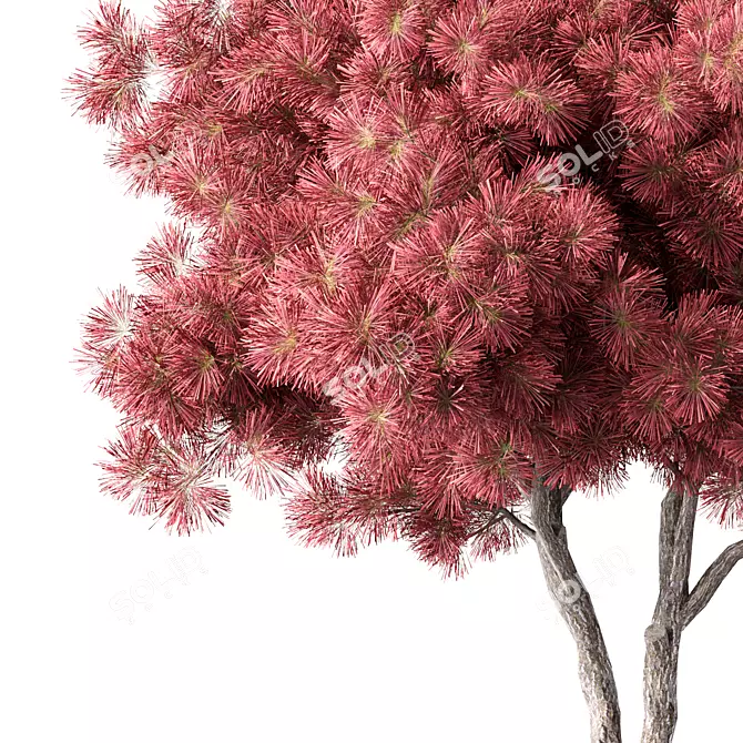 Sculpted Pine Tree No.132 3D model image 2