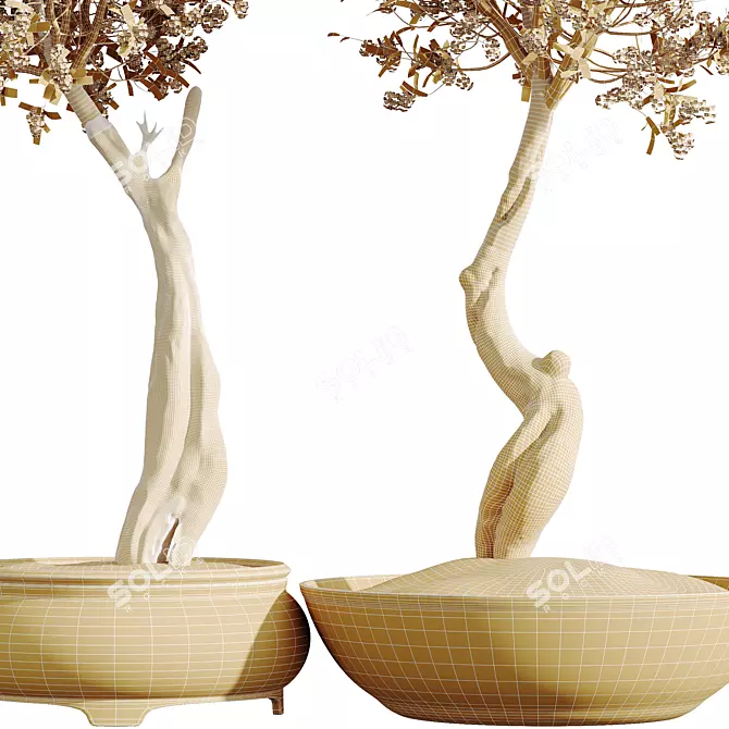 Cherry Blossom Tree Tropez Planter 3D model image 4