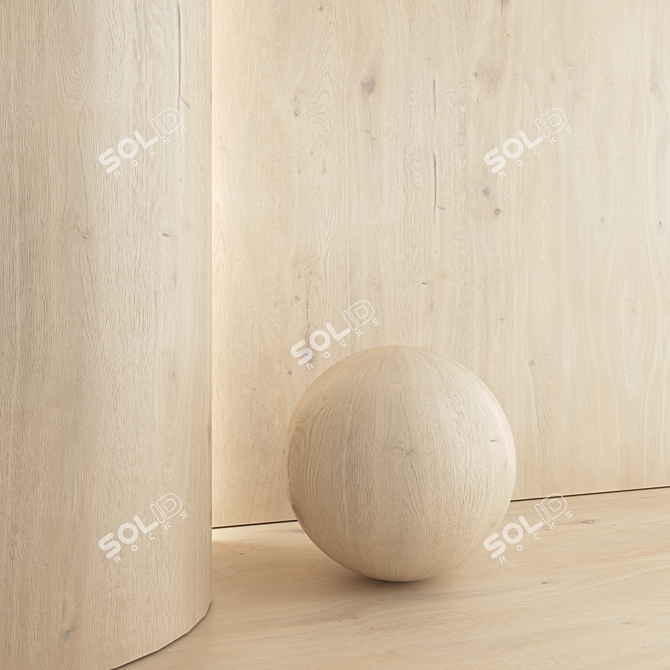 Premium Oak Wood Material Set 3D model image 3