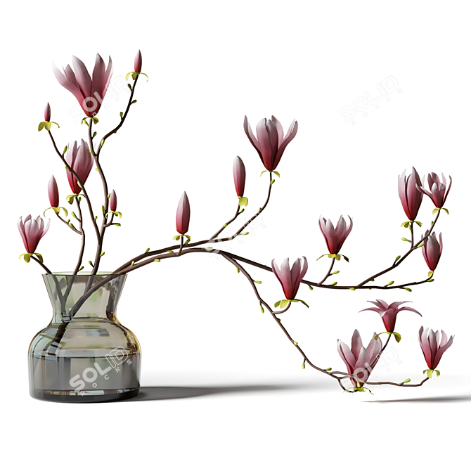 Elegant Magnolia Branch in Glass Vase 3D model image 1