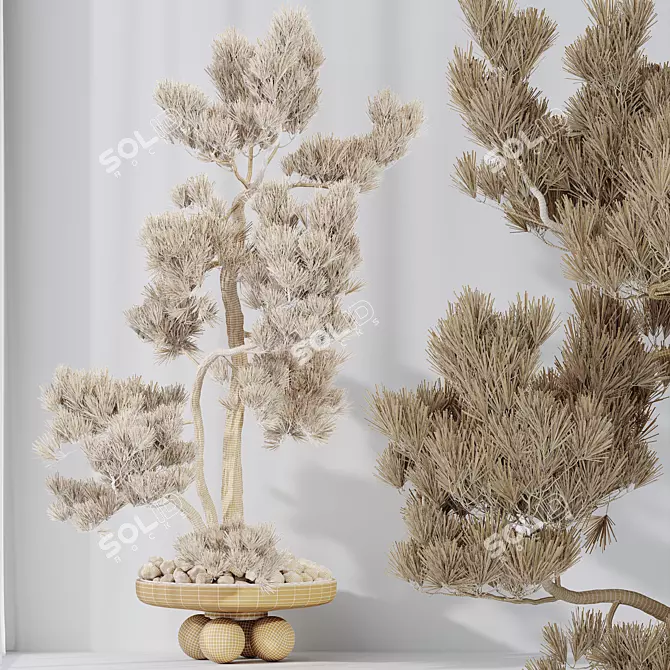 Premium Bonsai Pinus Set	with Textures 3D model image 6