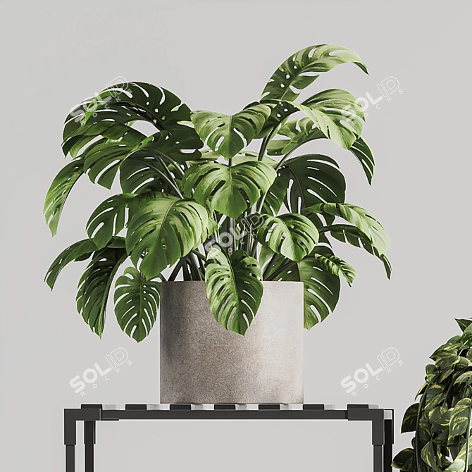 Modern Indoor Plant Stand 150 3D model image 5