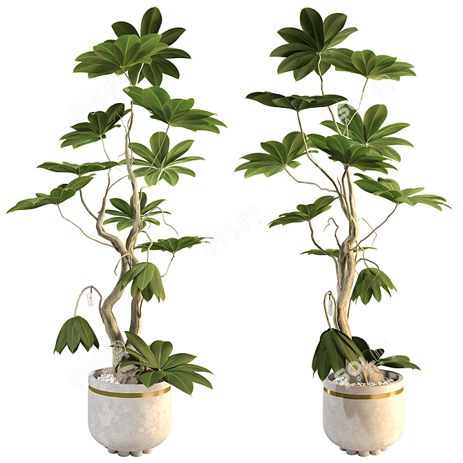 3D Plant & Decor Collection 3D model image 3