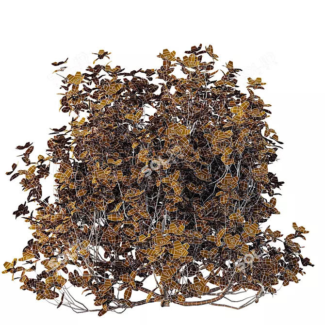 Purple Princess Flower Bush 3D Model 3D model image 6