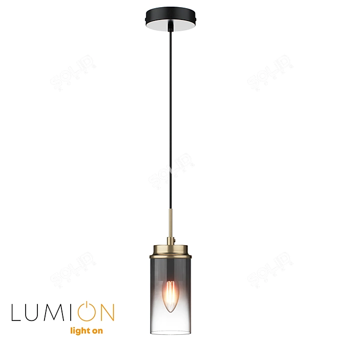  Lumion Hanging Pendant Light 3D model image 1