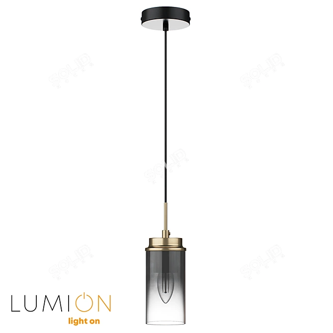  Lumion Hanging Pendant Light 3D model image 2