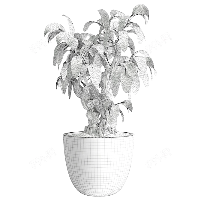 Modern Indoor Plant 531 Decor 3D model image 3