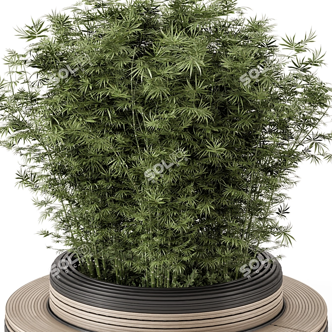 Bamboo Circle Base Outdoor Plants 3D model image 4