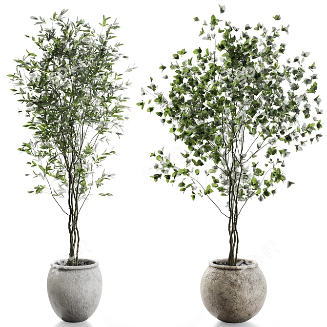 Elegant Branches Plant Vases 3D model image 1