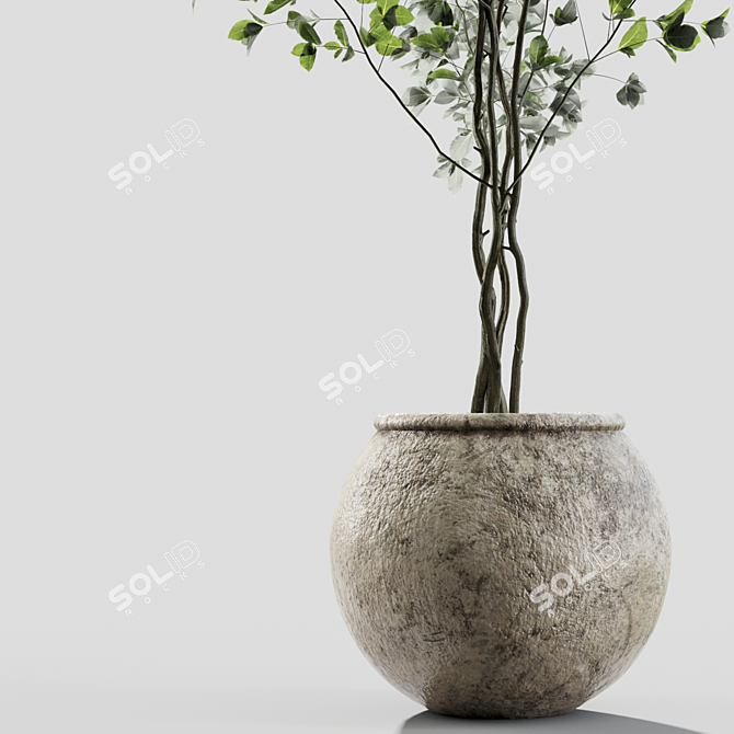 Elegant Branches Plant Vases 3D model image 2