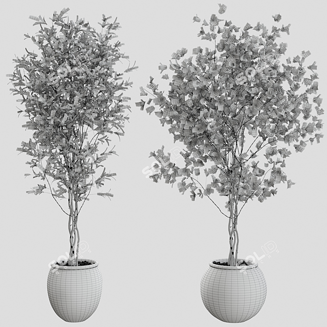 Elegant Branches Plant Vases 3D model image 4