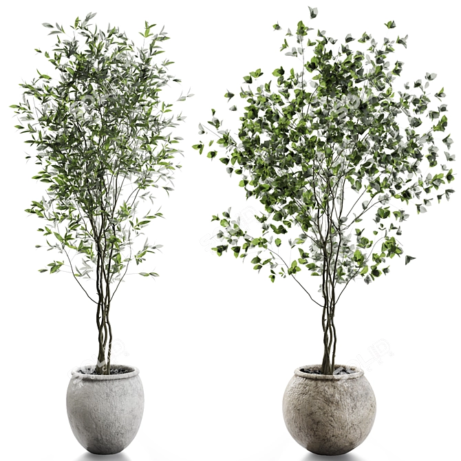 Elegant Branches Plant Vases 3D model image 5