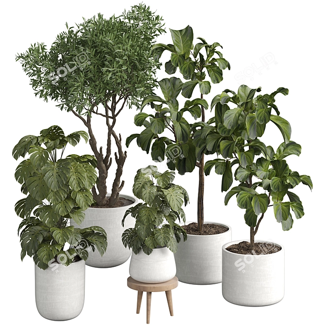 Modern Indoor Plant 3D Model 3D model image 1