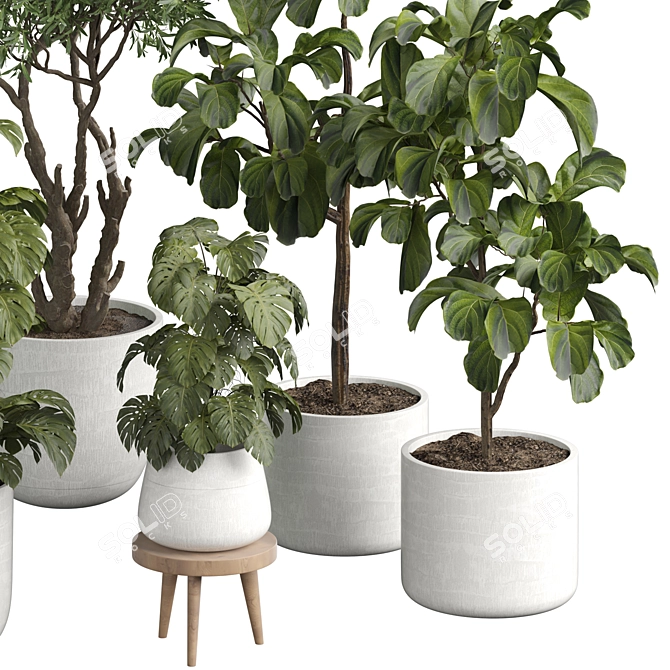 Modern Indoor Plant 3D Model 3D model image 2