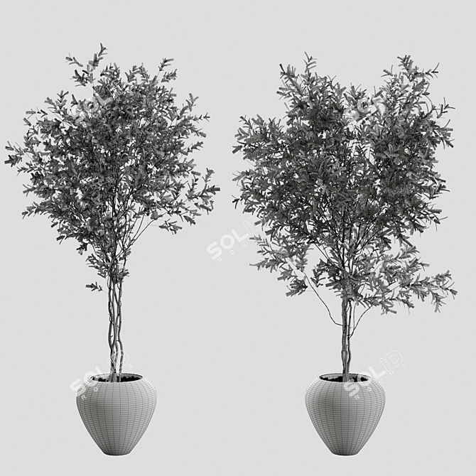 Title: Botanical Beauty Vase Display 3D model image 4