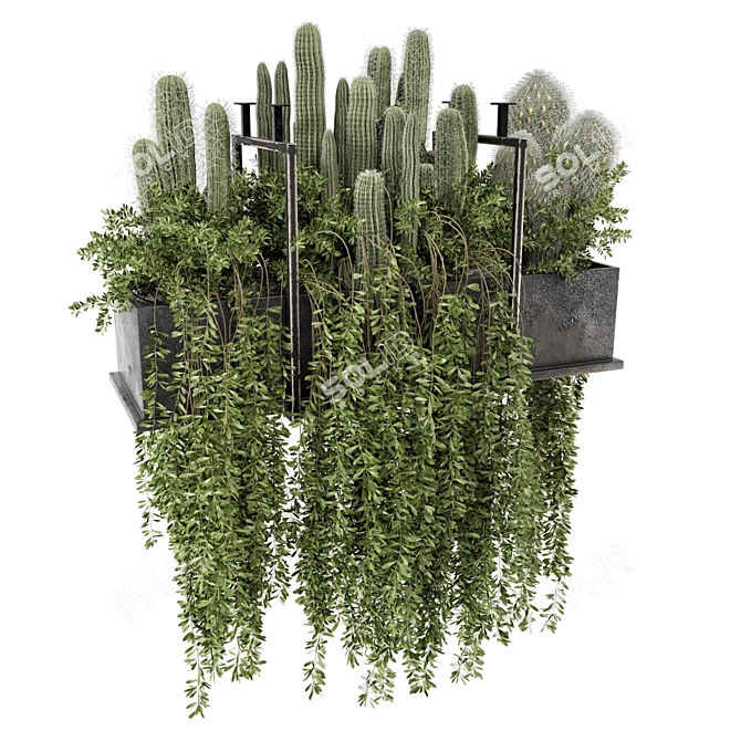 Set of Indoor Hanging Plants 3D model image 1