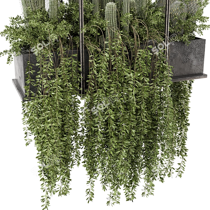 Set of Indoor Hanging Plants 3D model image 3