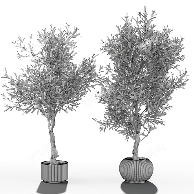 Artificial Branches in Vases 3D model image 4