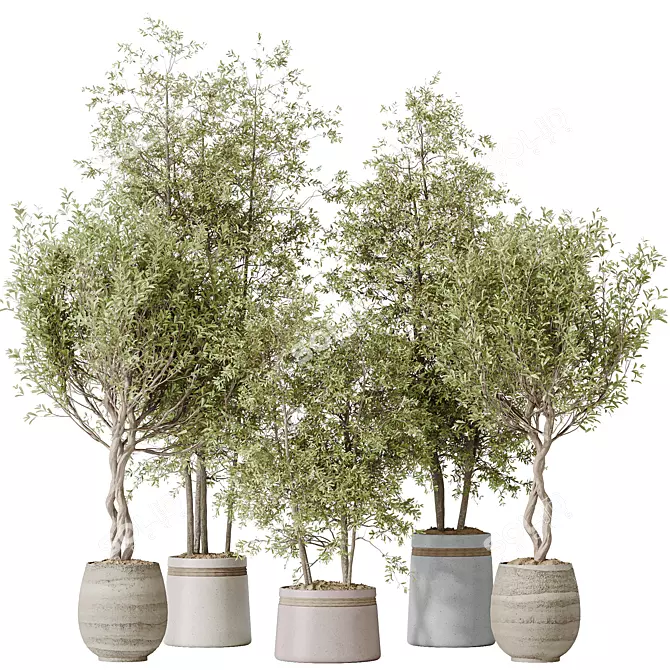 4K Indoor Plant 3D Models 3D model image 1