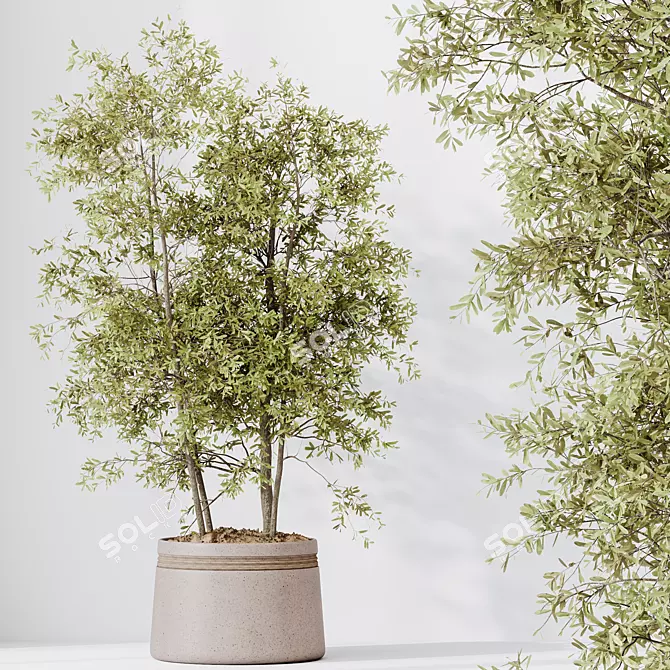 4K Indoor Plant 3D Models 3D model image 2