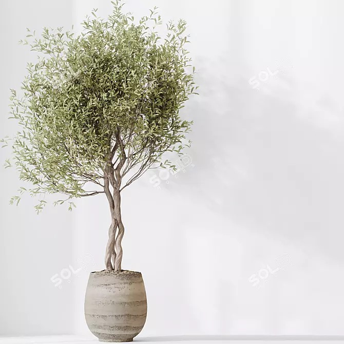 4K Indoor Plant 3D Models 3D model image 4