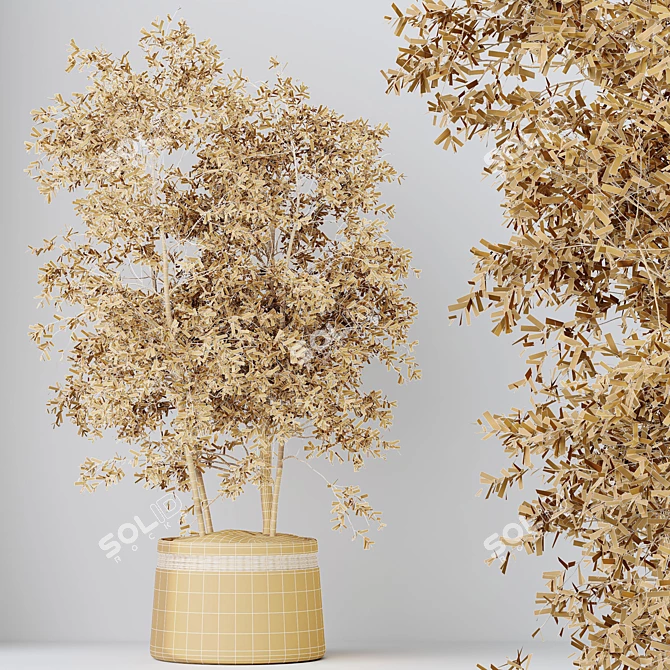 4K Indoor Plant 3D Models 3D model image 7