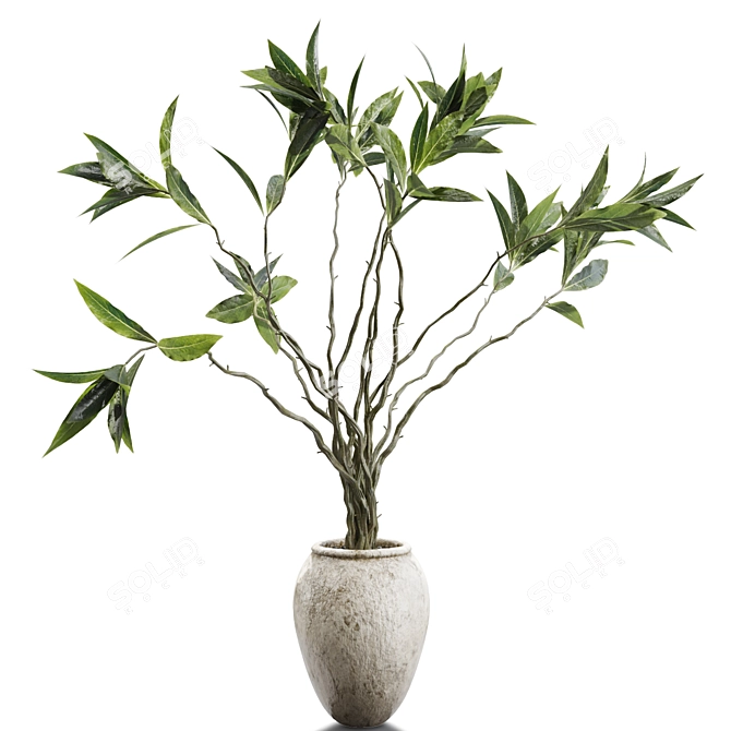 Botanical Beauty Branches in Vases 3D model image 1